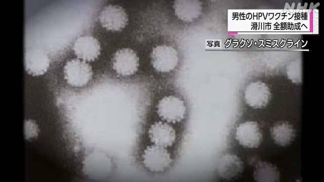 【子宮けいがん・中咽頭がん予防】男性もＨＰＶワクチン接種を　滑川市が新年度から全額助成
